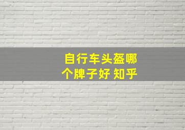 自行车头盔哪个牌子好 知乎